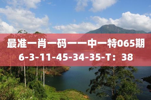 最準(zhǔn)一肖一碼一一中一特065期6-3-11-45-34-35-T：38