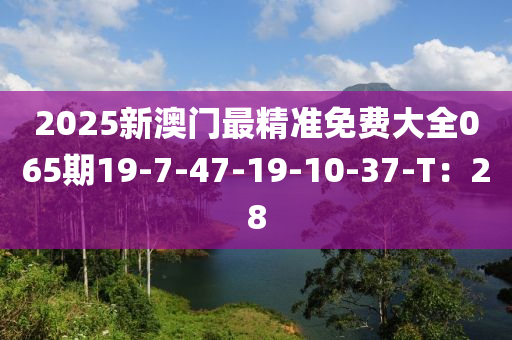 2025新澳門最精準免費大全065期19-7-47-19-10液壓動力機械,元件制造-37-T：28