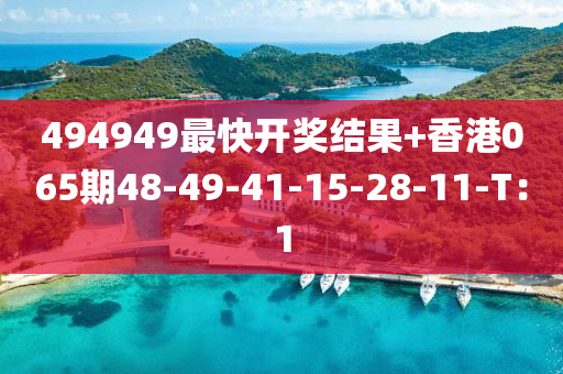 494949最快開獎(jiǎng)結(jié)果+香港065期48-49-41-15-28-11-T：1