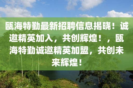 甌海特勤液壓動力機(jī)械,元件制造最新招聘信息揭曉！誠邀精英加入，共創(chuàng)輝煌！，甌海特勤誠邀精英加盟，共創(chuàng)未來輝煌！