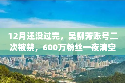 12月還液壓動力機械,元件制造沒過完，吳柳芳賬號二次被禁，600萬粉絲一夜清空