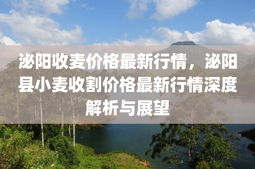 泌陽收麥價(jià)格最新行情，泌陽縣小麥?zhǔn)崭顑r(jià)格最新行情深度解析與展望