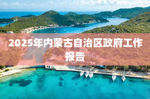 2025年內(nèi)蒙古自治區(qū)政府工作報告液壓動力機械,元件制造