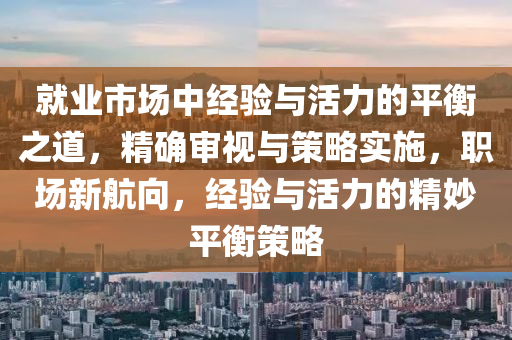 就業(yè)市場中經(jīng)驗與活力的平衡之道，精確審視與策略實施，職場新航向，經(jīng)驗與活力的精妙平衡策略液壓動力機(jī)械,元件制造