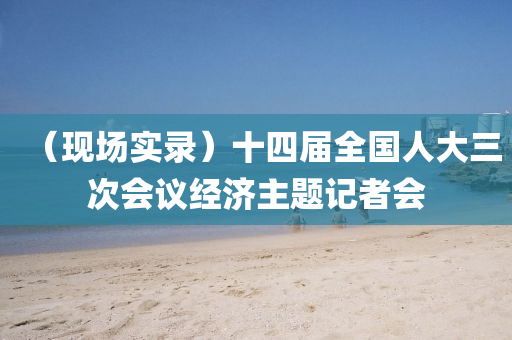 （現場實錄）十四屆全國人大三次會議經濟主題記者會液壓動力機械,元件制造