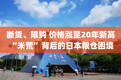 斷貨、限購 價格漲至20年新高 “米荒”背后的日本糧倉困境液壓動力機械,元件制造