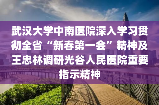 武漢大學中南醫(yī)院深入學習貫徹全省“新春第一會”精神及王忠林調(diào)研光谷人民醫(yī)院重要指示精神液壓動力機械,元件制造