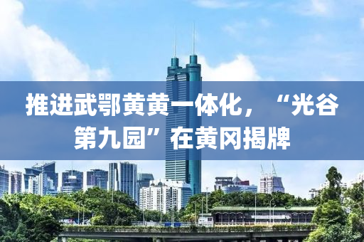 推進武鄂黃黃一體化，“光谷液壓動力機械,元件制造第九園”在黃岡揭牌