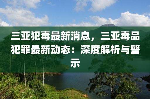 三亞犯毒最新消息，三亞毒品液壓動力機械,元件制造犯罪最新動態(tài)：深度解析與警示