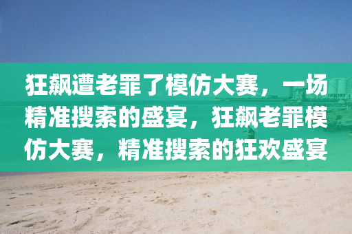 狂飆遭老罪了模仿大賽，一場精準搜索的盛宴，狂飆老罪模仿大賽，精準搜索的狂歡盛宴液壓動力機械,元件制造