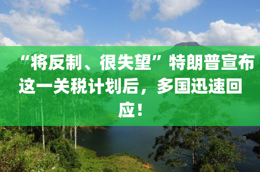 “將反制、很失望”特朗普宣布這一關稅計劃后，多國迅速回應！液壓動力機械,元件制造