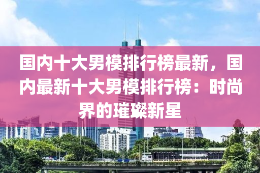 國內十大男模排行榜最新，國內最新十大男模排行榜：時尚界的璀璨新星液壓動力機械,元件制造