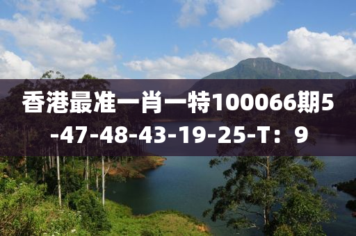 香港最準一肖一特100液壓動力機械,元件制造066期5-47-48-43-19-25-T：9