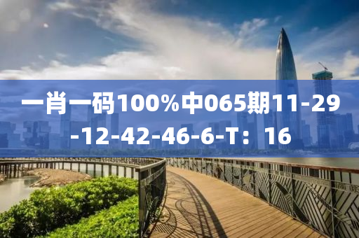 一肖一碼100%中065期11-29-12-42-46-6-T：16