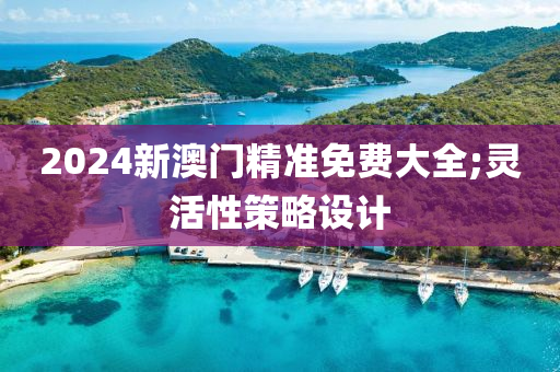 2024新澳門精準免費大全;靈活性策略設計