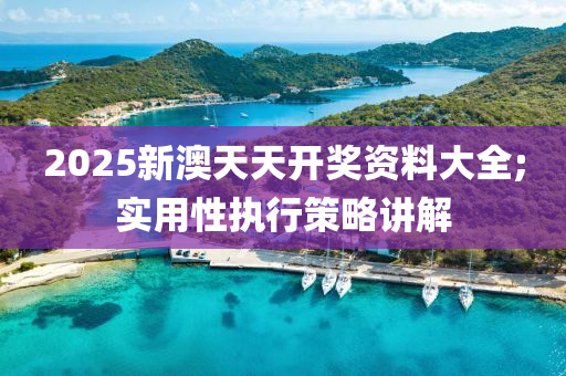 2025新澳天天開獎資料大全;實用性執(zhí)行策略講解液壓動力機(jī)械,元件制造