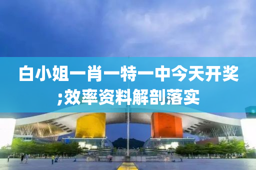 白小姐一肖一特一中今天開獎;效率液壓動力機械,元件制造資料解剖落實