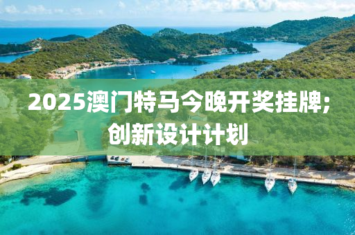 2025澳門特馬今晚開獎掛牌;創(chuàng)新設計計劃