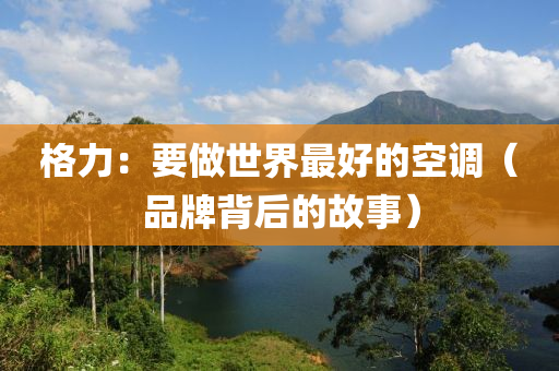 格力：要做世界最好的空調(diào)（品牌液壓動力機械,元件制造背后的故事）