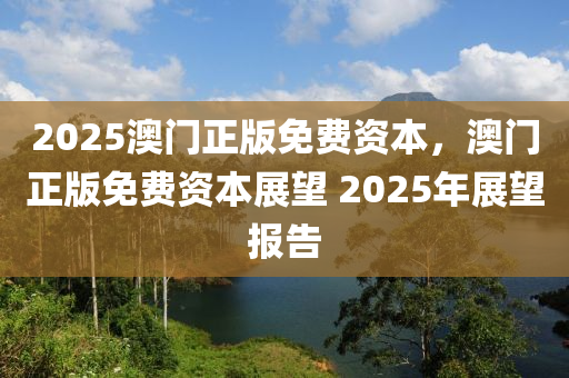 2025澳門正版免費(fèi)資本，澳門正版免費(fèi)資本展望 2025年展望液壓動(dòng)力機(jī)械,元件制造報(bào)告