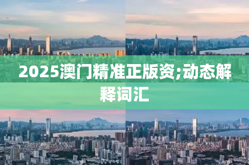 2025澳門精準(zhǔn)正版資;動態(tài)解釋詞匯