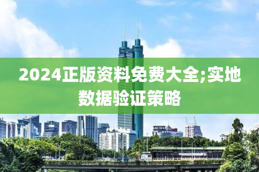 2024正版資料免費(fèi)大全;實(shí)地?cái)?shù)據(jù)驗(yàn)證策略