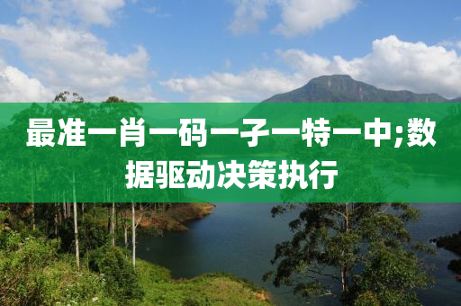 最準(zhǔn)一肖一碼一孑一特一中;數(shù)據(jù)驅(qū)動決策執(zhí)行液壓動力機(jī)械,元件制造