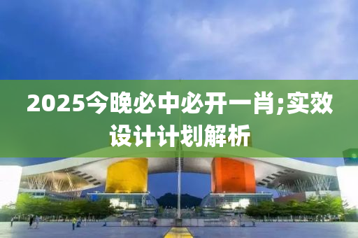 2025今晚必中必開一肖;實(shí)效設(shè)計(jì)計(jì)劃解析