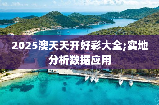 2025澳天天開好彩大全;實地分析數(shù)據(jù)應用液壓動力機械,元件制造