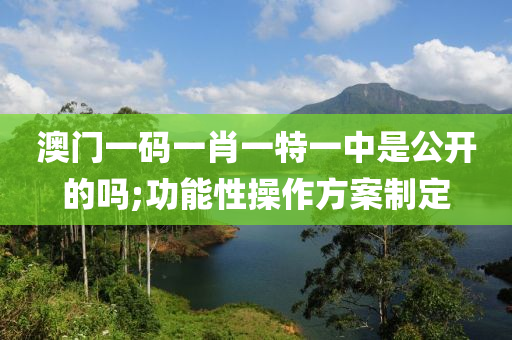 澳門一碼一肖一特一中是公開的嗎;功能性操作方案制定液壓動力機械,元件制造