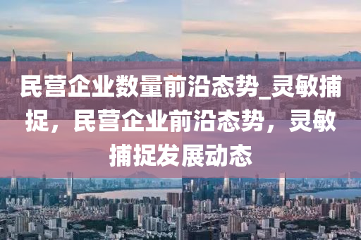 民營企業(yè)數(shù)量前沿態(tài)勢_靈敏捕捉，民營企業(yè)前沿態(tài)勢，靈敏捕捉發(fā)展動態(tài)液壓動力機械,元件制造