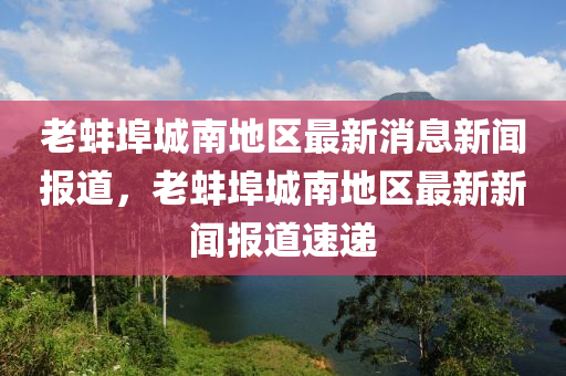 老蚌埠城南地區(qū)最新消息新聞報道，老蚌埠城南地區(qū)最新新聞報道速遞液壓動力機械,元件制造