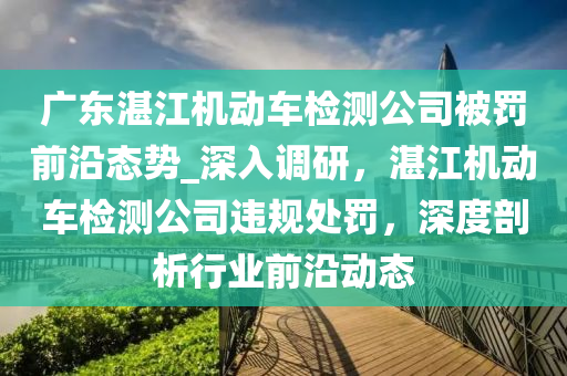 廣東湛江機動車檢測公司被罰前沿態(tài)勢_深入調(diào)研，湛江機動車檢測公司違規(guī)處罰，深度剖析行業(yè)前沿動態(tài)液壓動力機械,元件制造