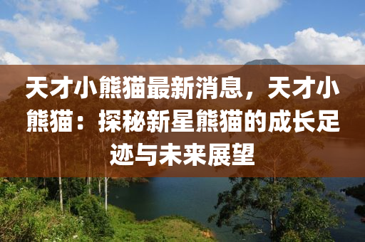 天才小熊貓最新消息，天才小熊貓：探秘新星熊貓的成長足跡與未來展望