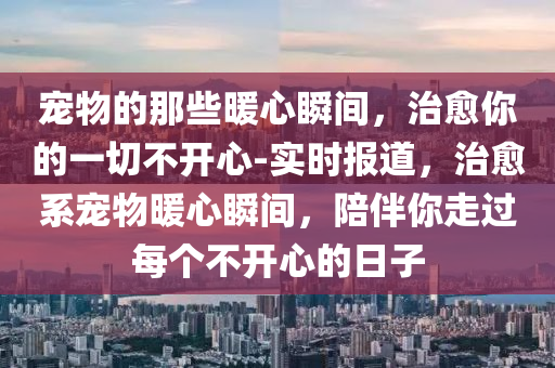 寵物的那些暖心瞬間，治愈你的一切不開心-實時報道，治愈系寵物暖心瞬間，陪伴你走過每個不開心的日子液壓動力機(jī)械,元件制造