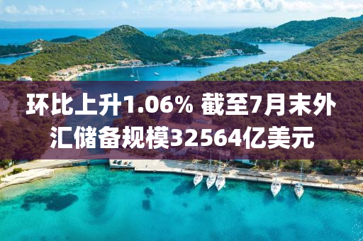 環(huán)比上升1.06% 截至7月末外匯儲備規(guī)模32564億美元液壓動力機械,元件制造