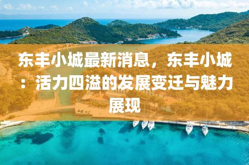 東豐小液壓動力機械,元件制造城最新消息，東豐小城：活力四溢的發(fā)展變遷與魅力展現(xiàn)