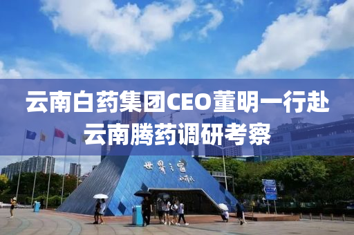 云南白藥集團CEO液壓動力機械,元件制造董明一行赴云南騰藥調研考察