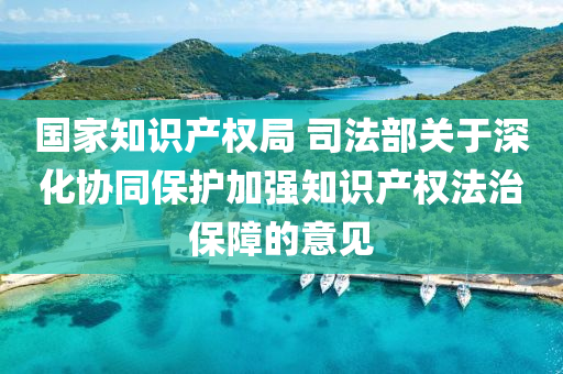 國家知識產權局 司法部關于深化協同保護加強知識產權法治保障的意見