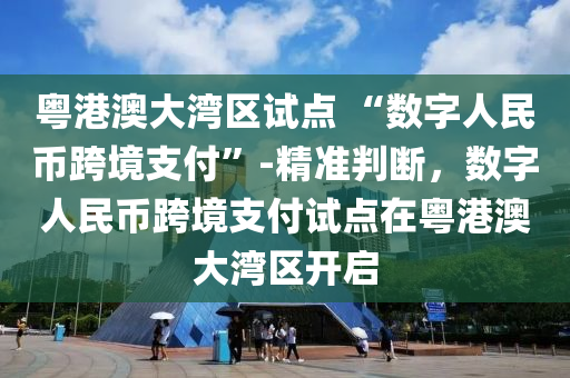 粵港澳大灣區(qū)試點 “數(shù)字人民幣跨境支付”-精液壓動力機械,元件制造準判斷，數(shù)字人民幣跨境支付試點在粵港澳大灣區(qū)開啟