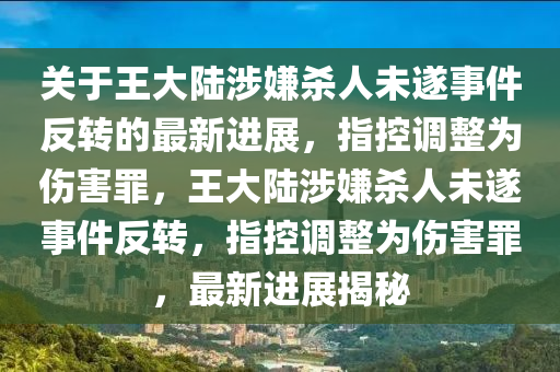 關于王大陸涉嫌殺人未遂事件反轉的最新進展，指控調整為傷害罪，王大陸涉嫌殺人未遂事件反轉，指控調整為傷害罪，最新進展揭秘液壓動力機械,元件制造