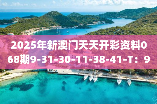 2025年新澳門天液壓動力機(jī)械,元件制造天開彩資料068期9-31-30-11-38-41-T：9