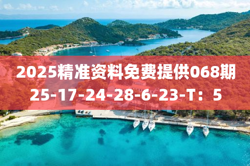 2025精準資料免費提供068期25-17-24-28-6液壓動力機械,元件制造-23-T：5