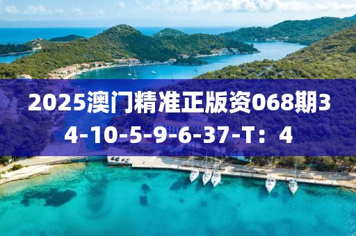 2025澳門精準正版資068期34-10-液壓動力機械,元件制造5-9-6-37-T：4