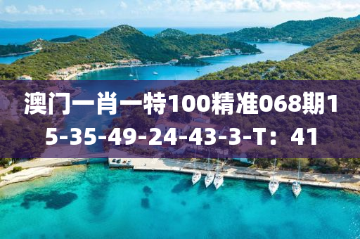 澳門一肖一特100精準068期15-35-49-24-43-3-T：41