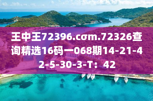 王中王72396.cσm.72326查詢精選16碼一068液壓動力機械,元件制造期14-21-42-5-30-3-T：42