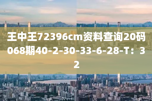 王中王72396cm資料液壓動力機械,元件制造查詢20碼068期40-2-30-33-6-28-T：32