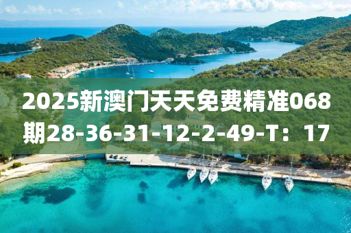 2025新澳門天天免費精準068期28-36-31-12-2-49-T液壓動力機械,元件制造：17