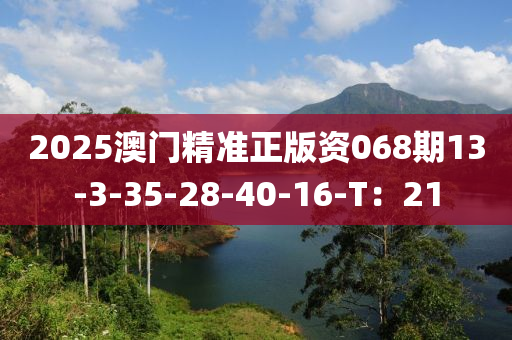 2025澳門精準正版資068期13-3-35-28-40-16-T：21液壓動力機械,元件制造