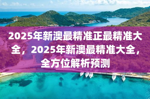 2025年新澳最精準正最精準大全，2025年新澳最精準大全，全方位解析預測液壓動力機械,元件制造